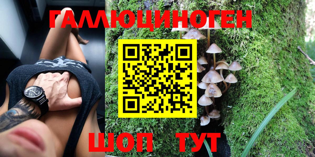 Псилоцибиновые грибы прущие грибы Липецк