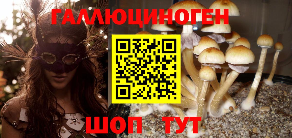 Липецк  купить  цена  Вход с VPN  Галлюциногенные грибы Psilocybine cubensis 